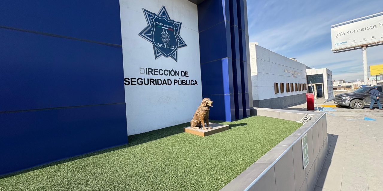 Detiene Policía Saltillo a probable autor de cristalazos en el centro