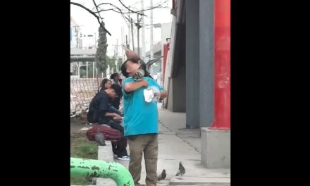 ¿El ‘Blanca Nieves’ regio? Hombre se vuelve viral en Nuevo León por alimentar palomas de su boca