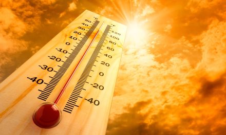 México enfrentará olas de calor 2026 con temperaturas de hasta 50°C; estos son los estados que estarán más calientes