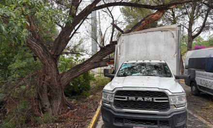 Camión de carga se impacta contra árbol en Saltillo