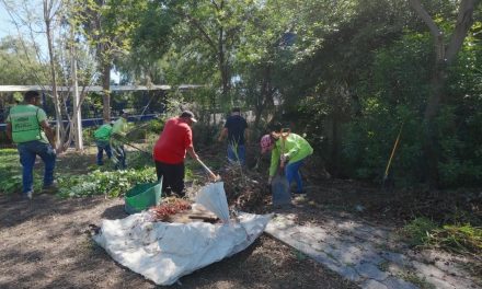 Continúa el gobierno municipal con limpieza de arroyos en la ciudad