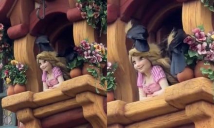 Cuervos se apoderan de la cabellera de Rapunzel en Tokyo DisneySea (video)
