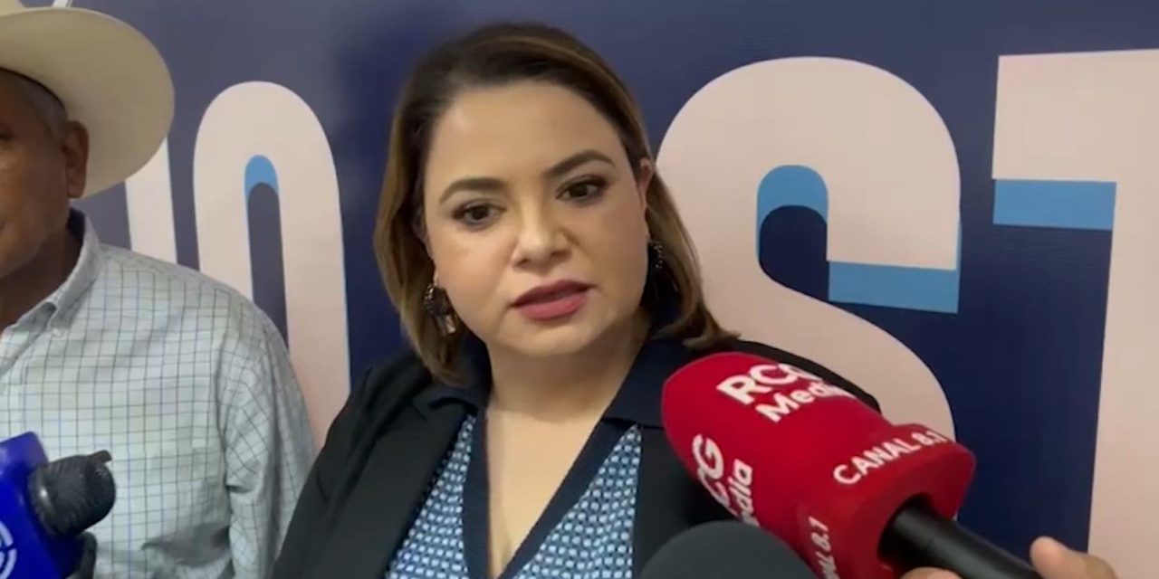 Descarta encabezar lista de diputados plurinominales