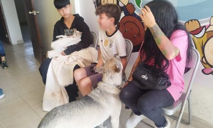 Continúa esterilización gratuita en Ramos Arizpe