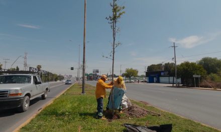 Extiende Javier Díaz programa de reforestación por todo Saltillo