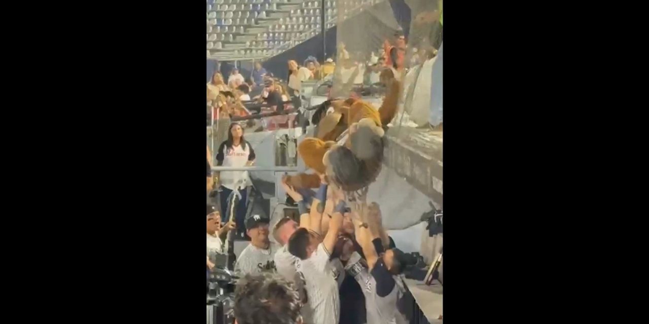 ¡Sultanes al rescate! Jugadores se unen para ‘salvar’ al Perro Sultán (video)