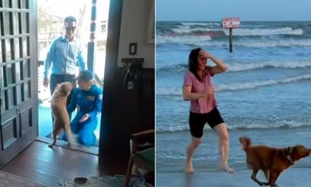 Video: Así fue el emotivo reencuentro de la astronauta Christina Koch con su perrita tras la misión Artemis II