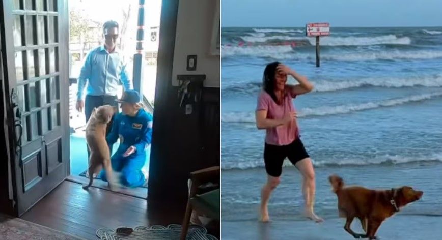 Video: Así fue el emotivo reencuentro de la astronauta Christina Koch con su perrita tras la misión Artemis II