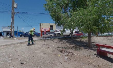 Realiza Saltillo limpieza profunda en Parque Lineal de Bellavista