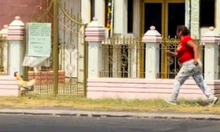 ¡Antes muerta que en un caldo! Pollo se escapa de una mujer en plena calle (video)