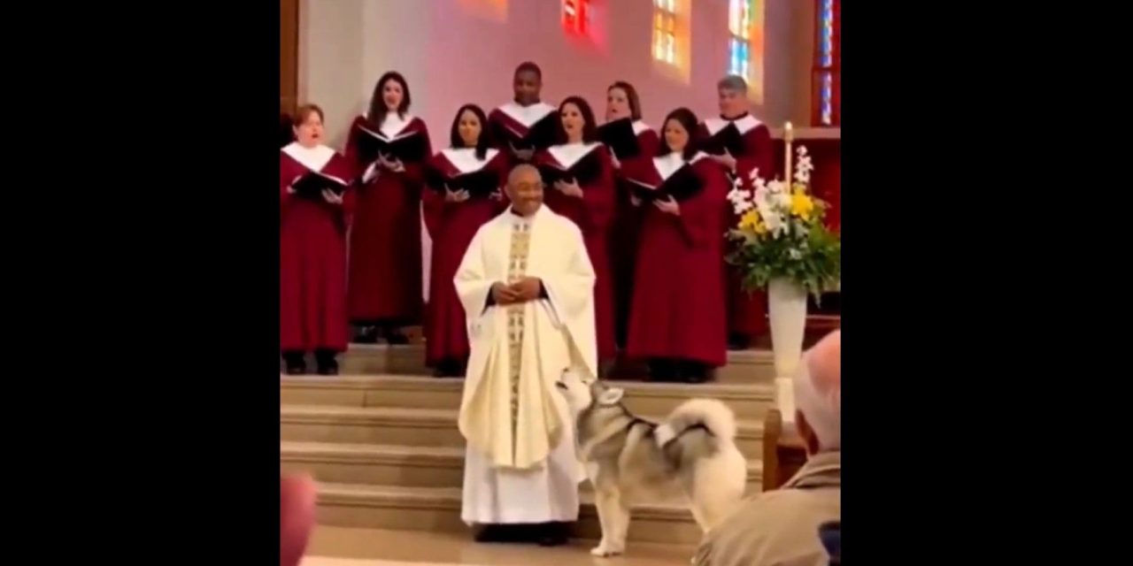 Video: Perrito ‘se une al coro’ de la iglesia y se vuelve viral