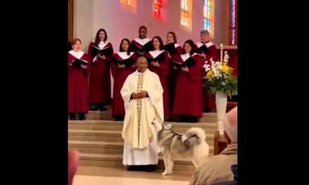 Video: Perrito ‘se une al coro’ de la iglesia y se vuelve viral