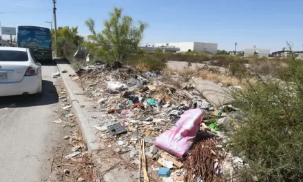 Habrá más cámaras para vigilar puntos críticos o colonias más sucias de Torreón