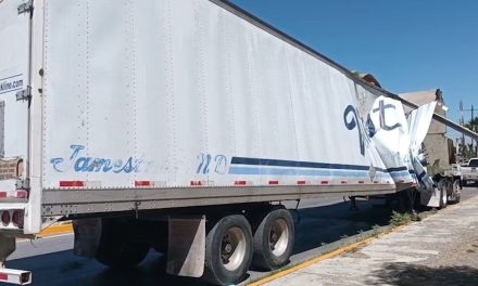 Tráiler derriba rama de pinabete y provoca daños a vehículos en Parras