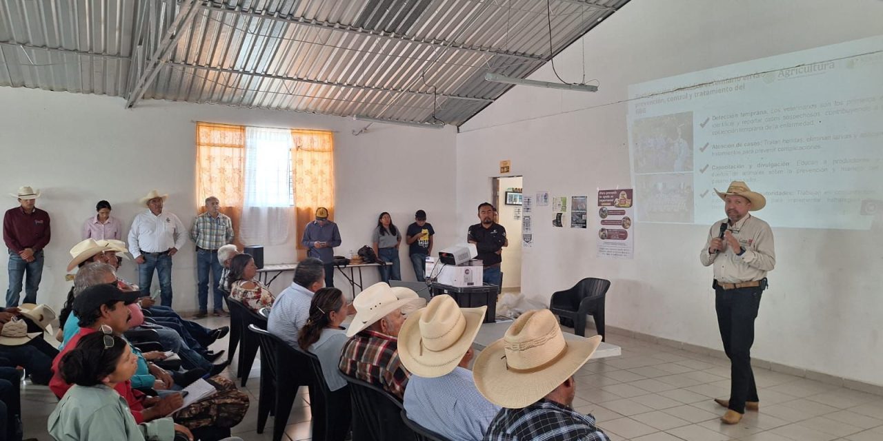 Coahuila refuerza medidas sanitarias para proteger al ganado
