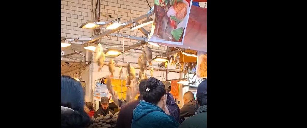 Aparecen los ‘Peces de Papantla’ en un mercado y explota internet (video)