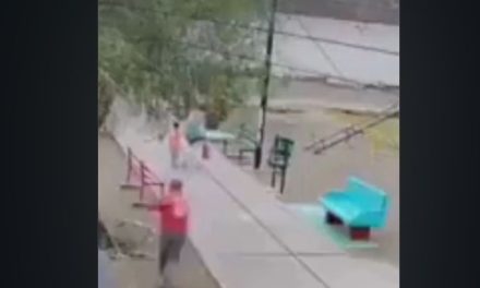 Captan agresión a adulta mayor con una piedra en colonia Beta Centauro de Saltillo