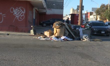 Aplican 100 multas a vecinos ‘cochinones’ en Saltillo