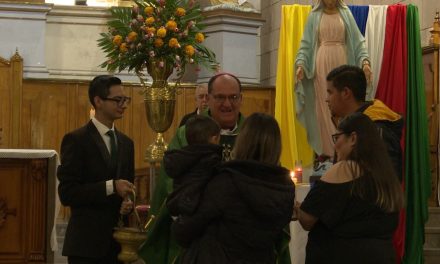Diócesis de Saltillo celebrará 135 años con misas y jornadas de oración