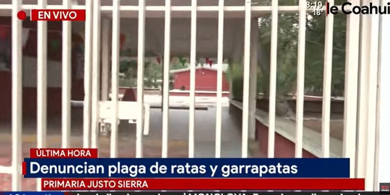 Denuncian plaga de ratas y garrapatas en primaria de Saltillo