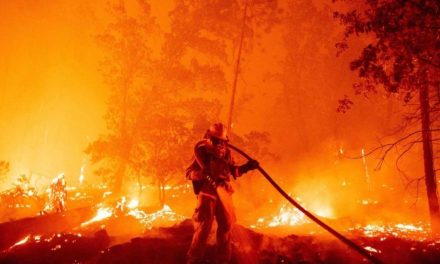 Incendio Hazen avanza sin control en Arizona y consume cerca de 980 acres