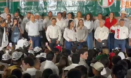 La seguridad se juega en esta elección; Luz Elena Morales