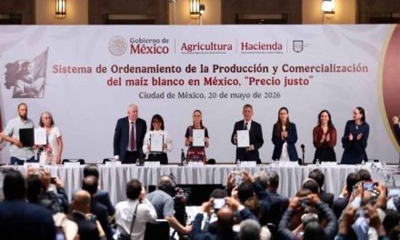 Gobierno federal acuerda precio justo para productores de maíz blanco