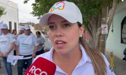 Peligroso que improvisados lleguen al poder legislativo, afirma Marimar Arroyo
