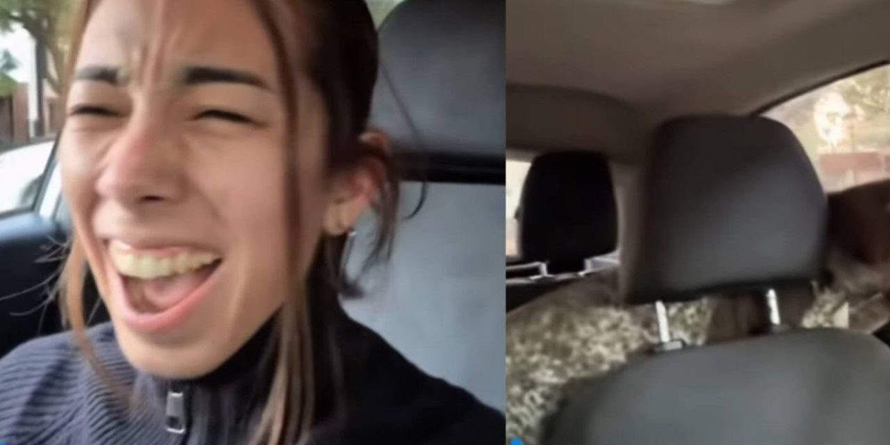 ¿El arreglo incluía un lomito? Clienta se lleva por error al perro de su mecánico (video)