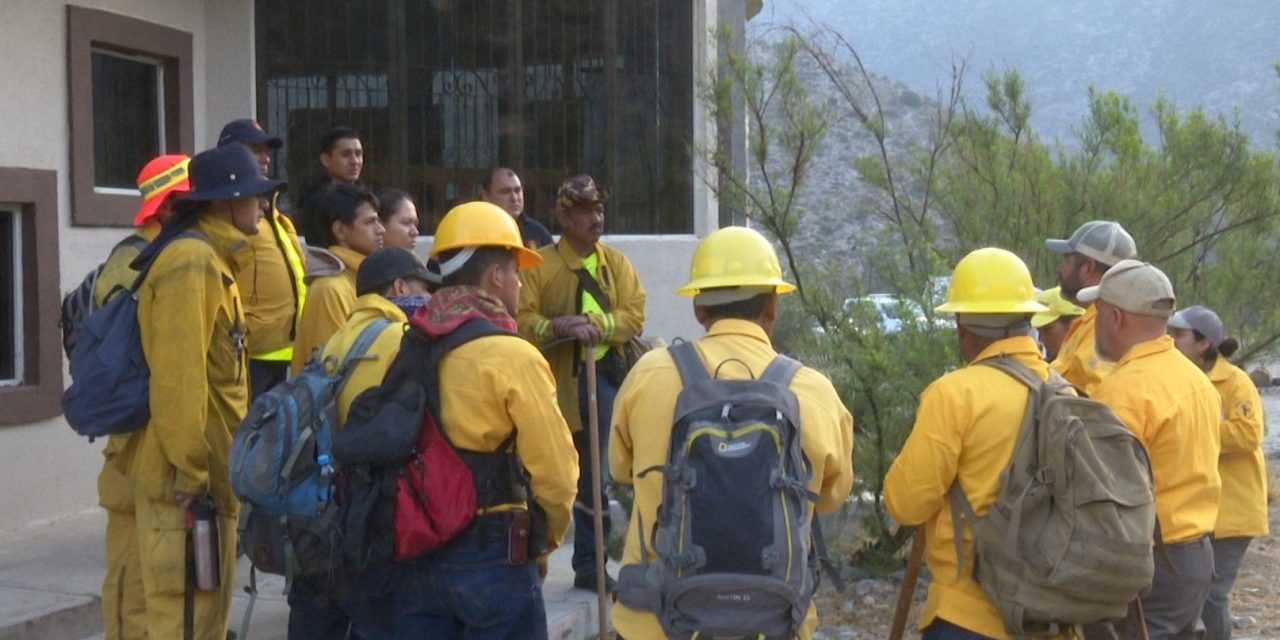 Solo Arteaga registra 11 conatos de incendios forestales