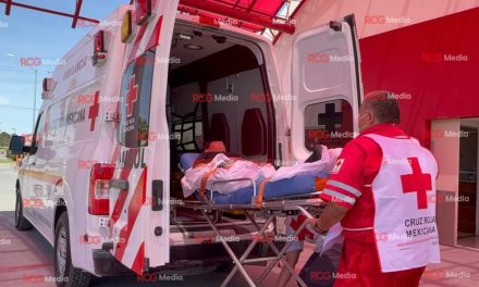 Afirma haber sido atacada por araña “viuda negra” en Saltillo; es hospitalizada por crisis nerviosa