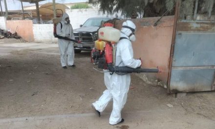 Fortalecen prevención contra la rickettsiosis en Acuña