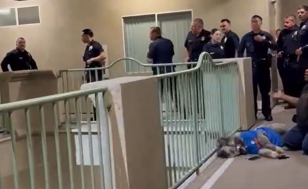 Policía abate a perrito durante celebración por el triundo de los New York Knicks