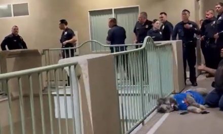 Policía abate a perrito durante celebración por el triundo de los New York Knicks