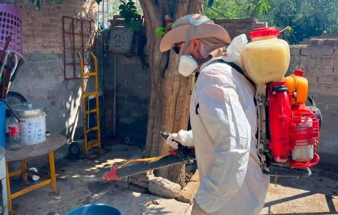 Intensifican acciones de fumigación en colonias y escuelas de Torreón