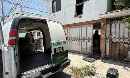 Rescatan perros donde hace días fue rescatado un adulto mayor en Saltillo