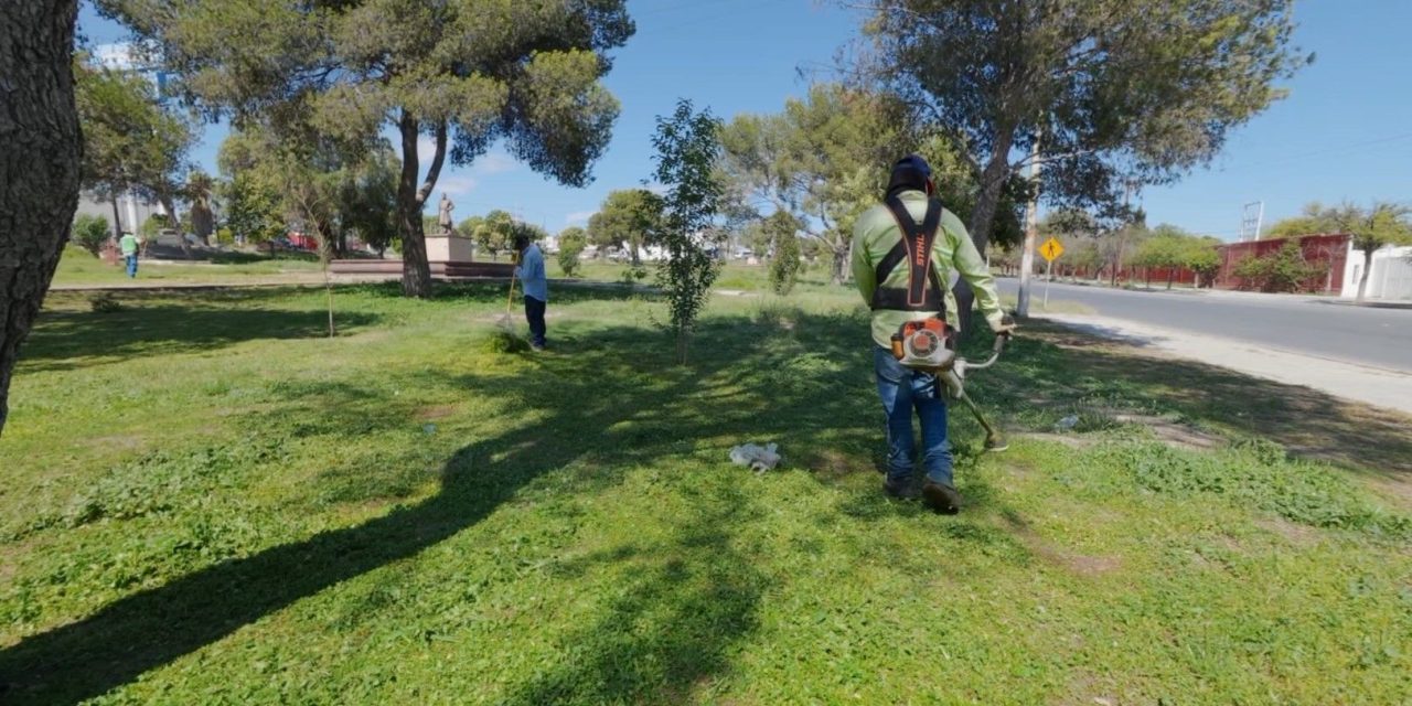 Va con todo Javier Díaz en reforestación al sur de Saltillo