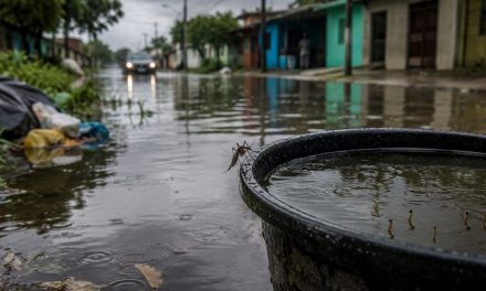 IMSS alerta por riesgos sanitarios durante temporada de lluvias