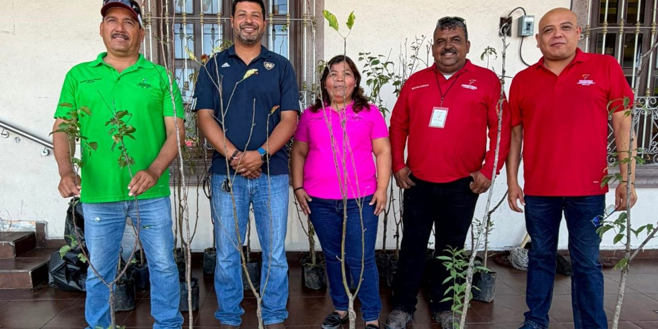 Invitan a canjear PET por árboles en Frontera