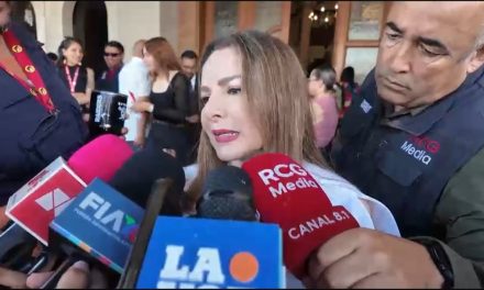 74 armas aseguradas en casos de violencia contra mujeres