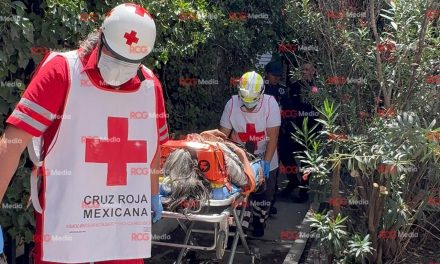 Presunto ladrón cae de 6 metros al intentar entrar a viviendas en el Centro de Saltillo