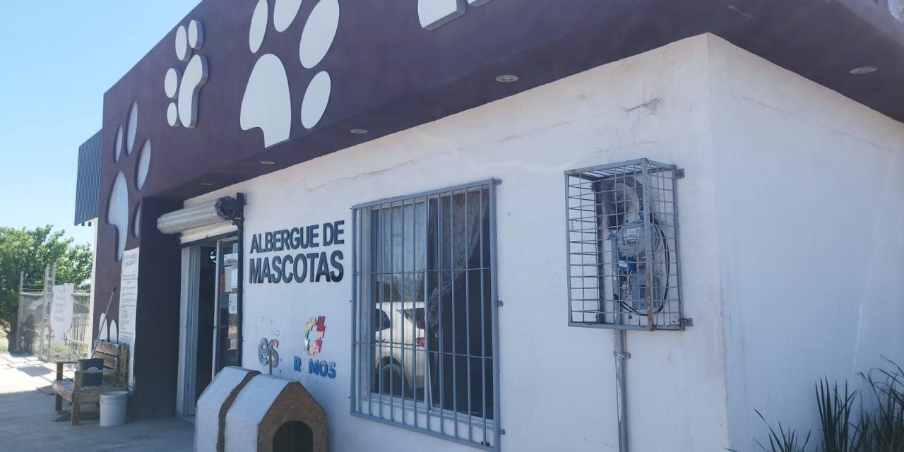 Continúan campañas de adopción de perros en Ramos Arizpe