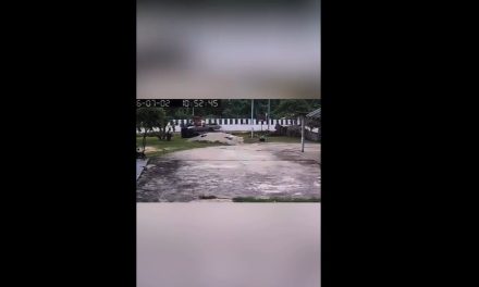 Niño de 11 años atropella a monjes; reportan 9 muertos