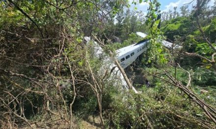 Avioneta cae sobre carretera en Pesquería; reportan varios lesionados