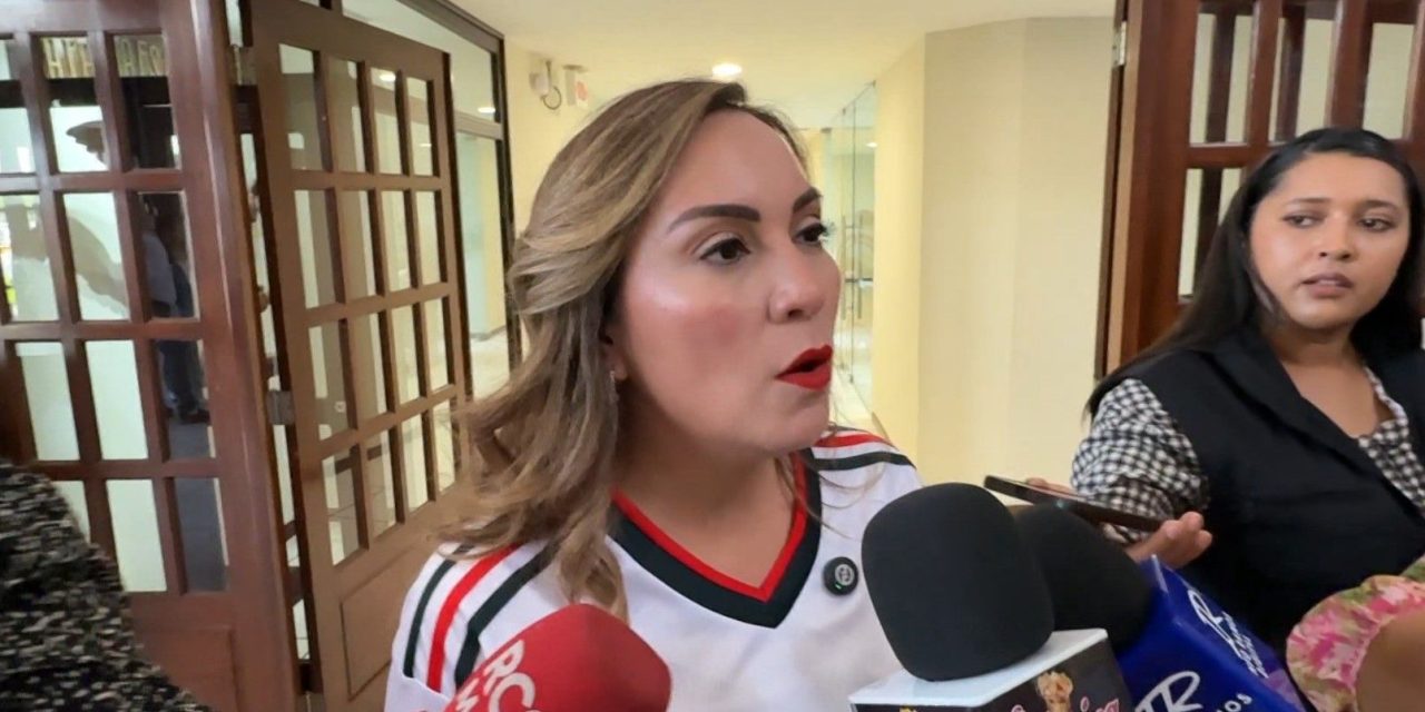Cursos de verano con precios accesibles plantea la diputada, Magaly Hernández