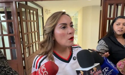 Cursos de verano con precios accesibles plantea la diputada, Magaly Hernández