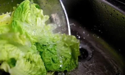 ¿Cuáles son las frutas y verduras que podrían generarte la diarrea explosiva?