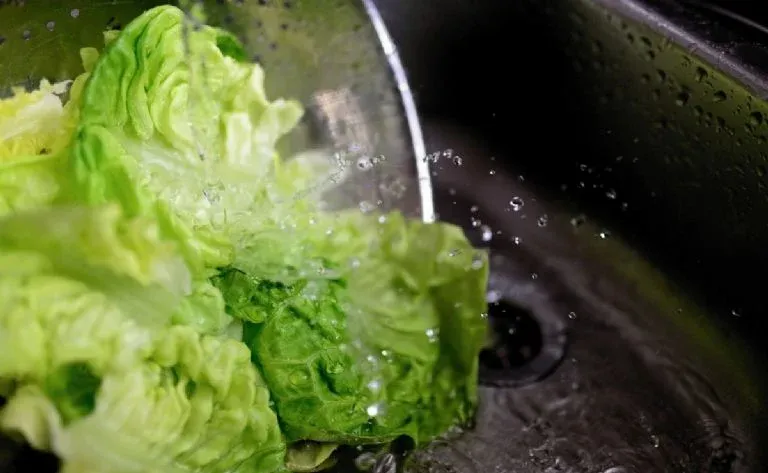 ¿Cuáles son las frutas y verduras que podrían generarte la diarrea explosiva?