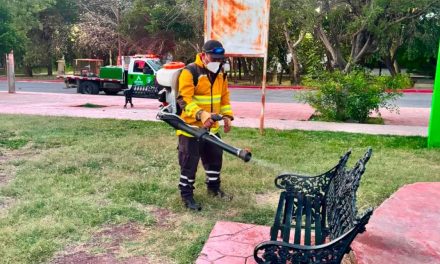 Refuerzan fumigación en plazas de Arteaga para prevenir el dengue