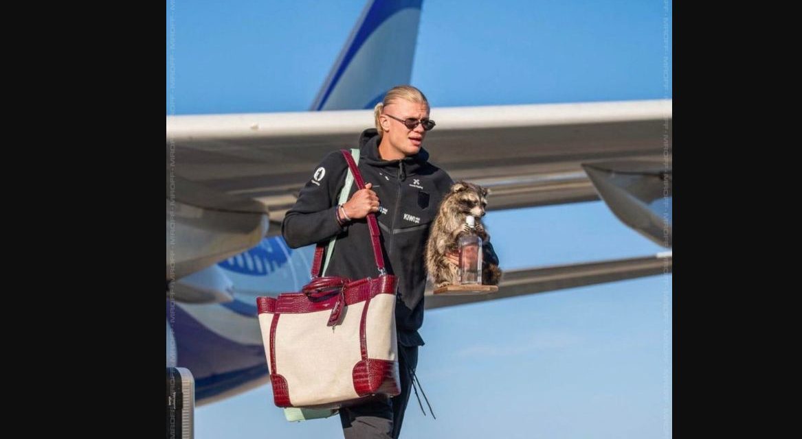 Haaland sorprende al regresar a Noruega con peculiar mapache disecado